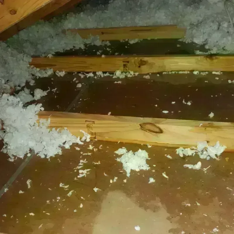 Attic Water Damage in Greentown, IN